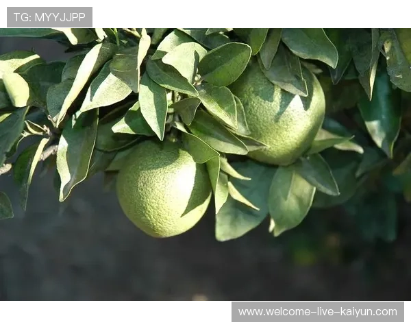 ¦ó+Í+--¦Ðð¥+¦¦++Á--¢¥+¦+ÃúÍãú¦+¦+¦ÎÒÃ=i¢-§Á-ð-Àþ¤=